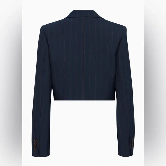 Aritzia Babaton Arbus Blazer - Picture 8 of 10